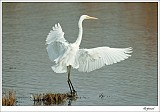 20120403_0079