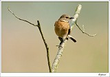 20120403_0130