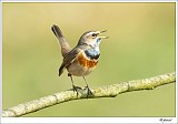 20120403_0154