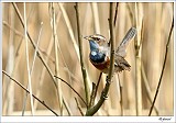 20120403_0203
