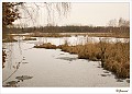 sized_20100308_005