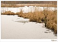 sized_20100308_006_1