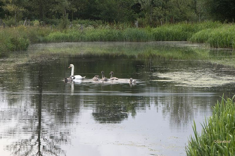 20090716_0054.JPG