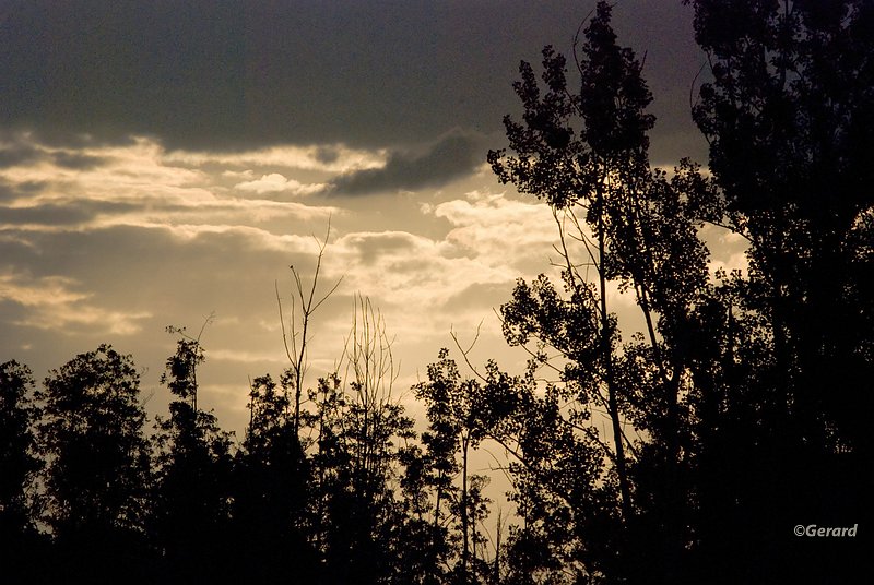 20090716_0060.JPG