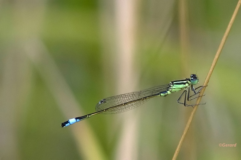 20090716_0086.JPG