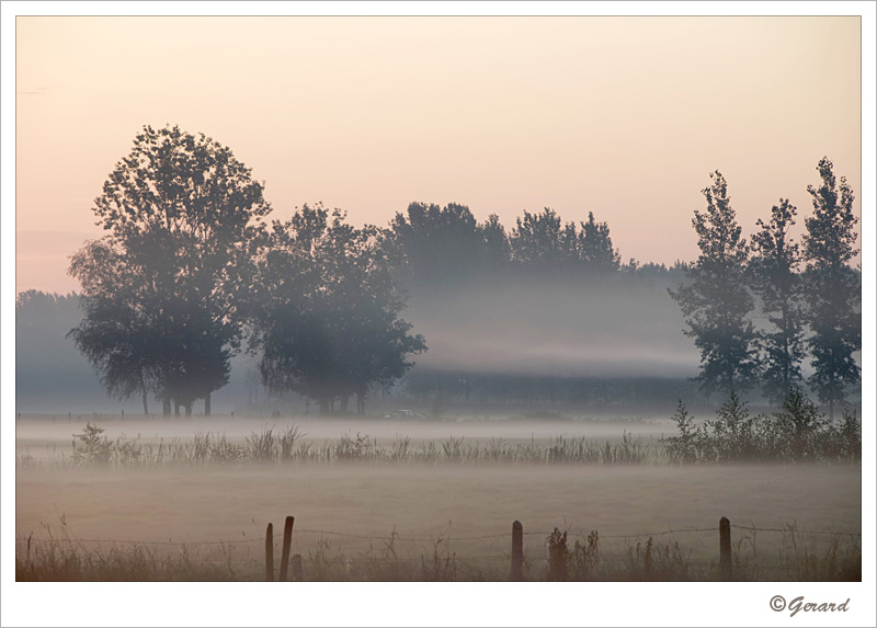 20090806_0080.jpg