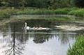 20090716_0054