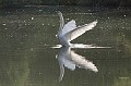 20090716_0062