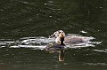 20090716_0066