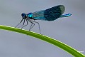 20090716_0124