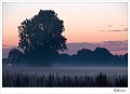 20090806_0023