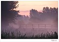 20090806_0031