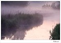 20090806_0035
