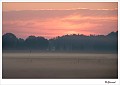 20090806_0048