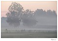 20090806_0052