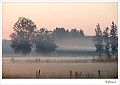 20090806_0080