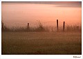 20090806_0081