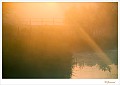 20090806_0086