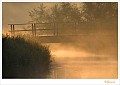 20090806_0098