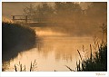 20090806_0099