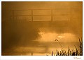 20090806_0100