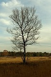 20111105_0015