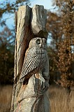 20111105_0019