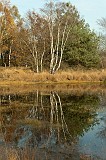 20111105_0027