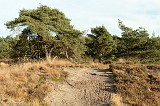 20111105_0028