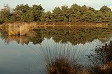 20111105_0030