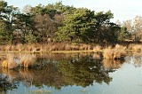 20111105_0031