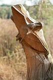 20111105_0034