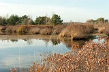 20111105_0038