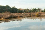 20111105_0039