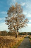 20111105_0047