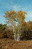 20111105_0049