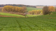 20150422_0160
