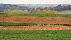 20150422_0161