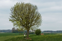 20150422_0169