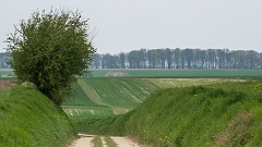 20150422_0171