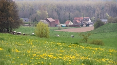 20150422_0175