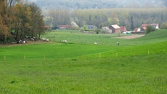 20150422_0179