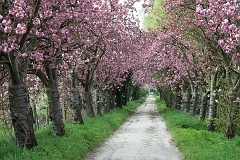 20150422_0204