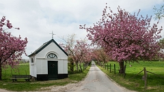 20150422_0263
