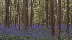 20150422_0013