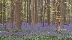 20150422_0030