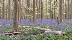 20150422_0034