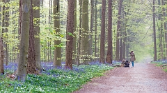 20150422_0036_1