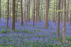20150422_0039
