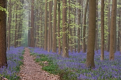 20150422_0052